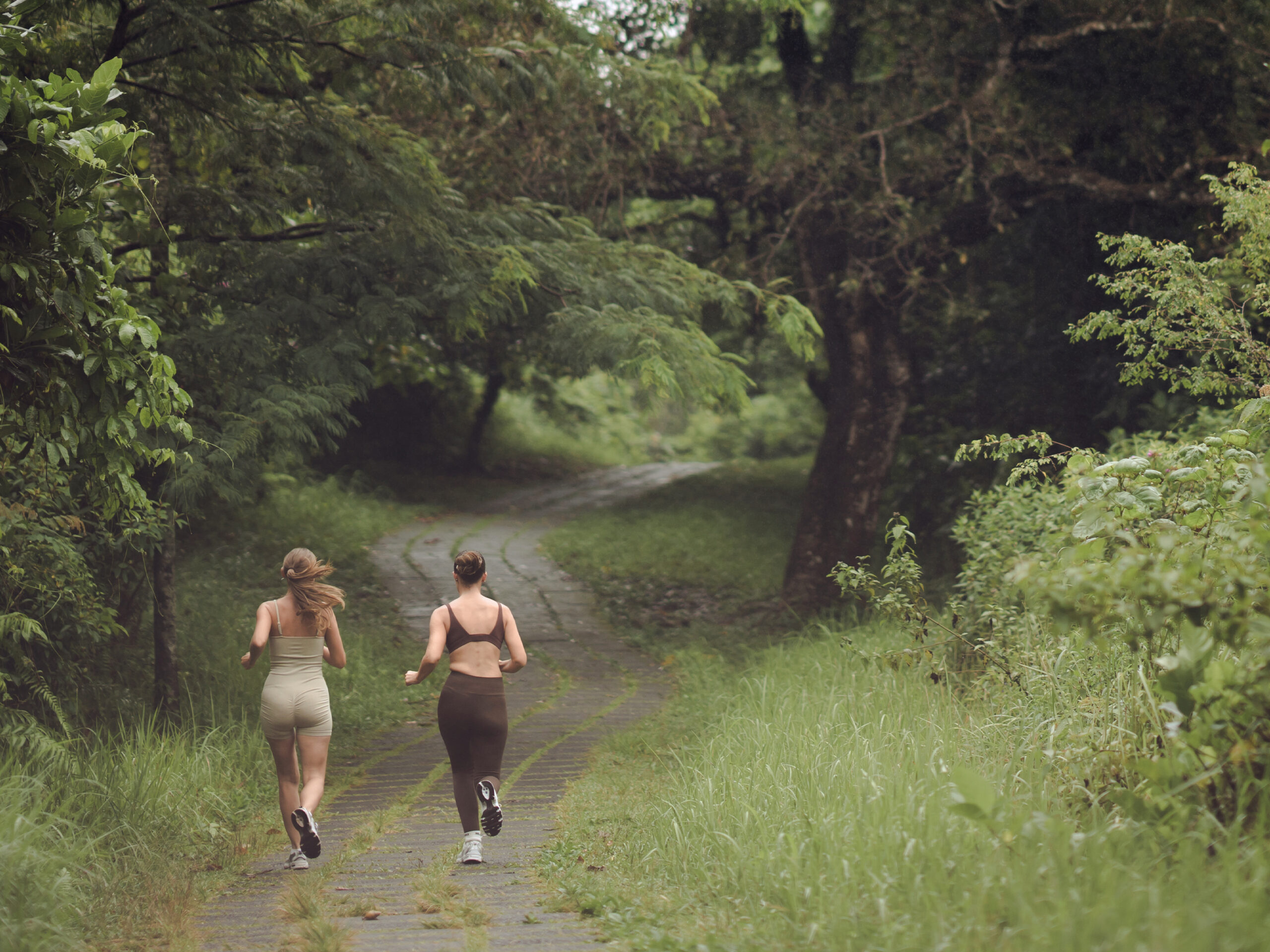Campuhan Ridge Walk