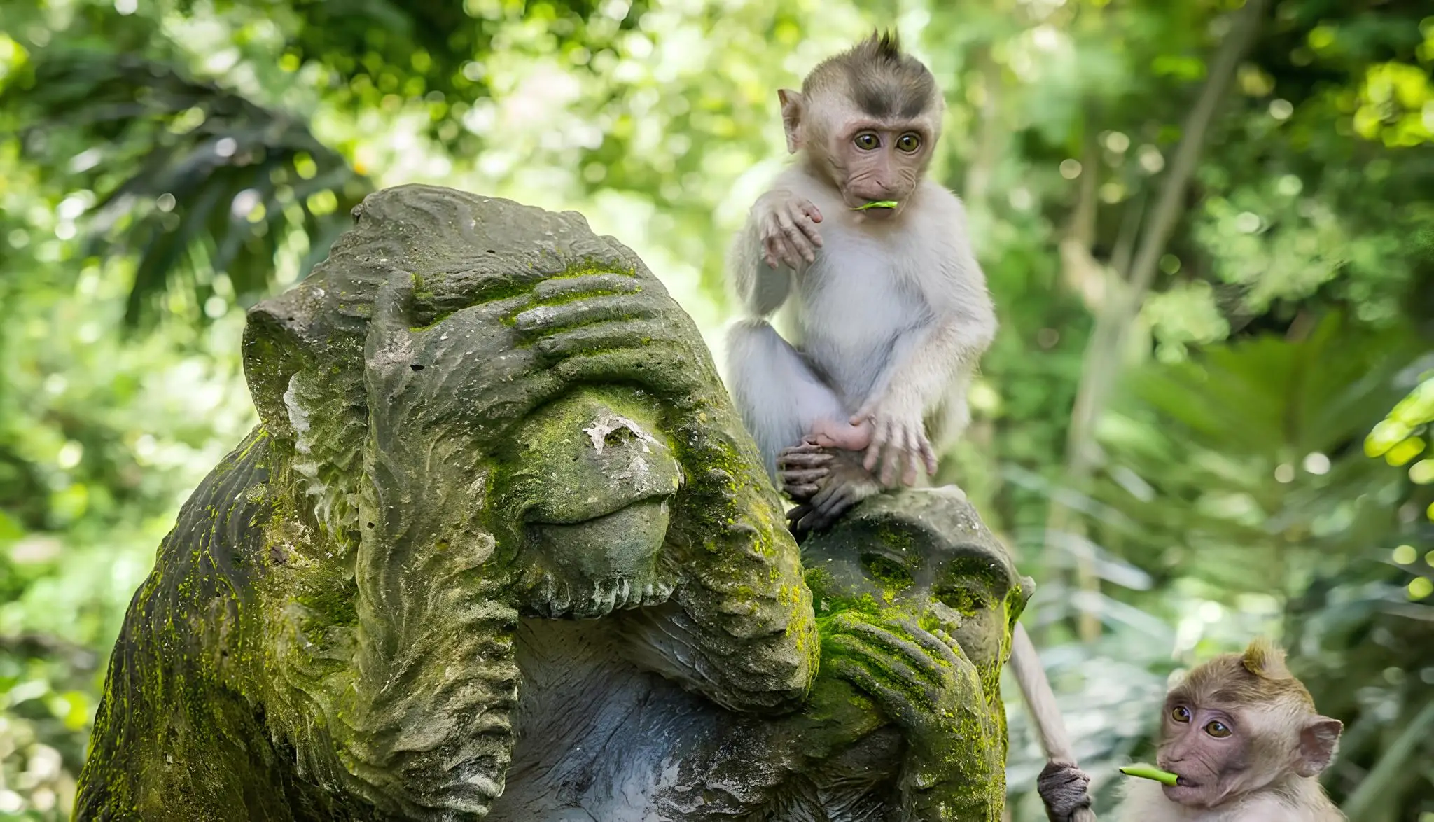 Top Things To Do In Ubud Near Adiwana Bisma