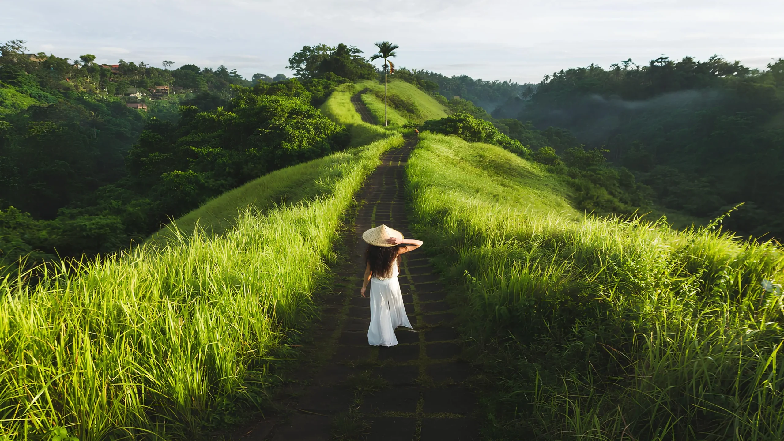 Top Things To Do In Ubud Near Adiwana Bisma