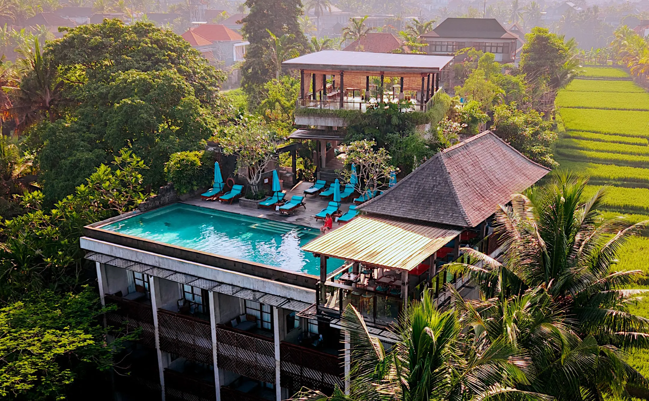 Top Things To Do In Ubud Near Adiwana Bisma