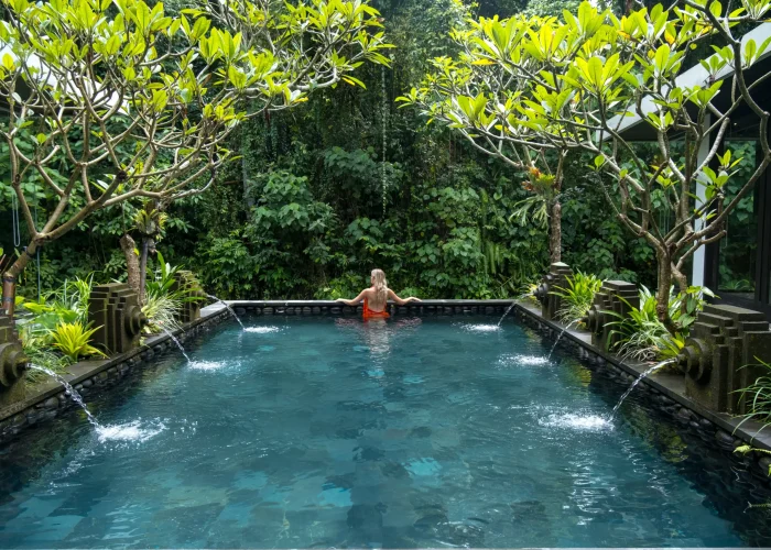 Wellness Journey