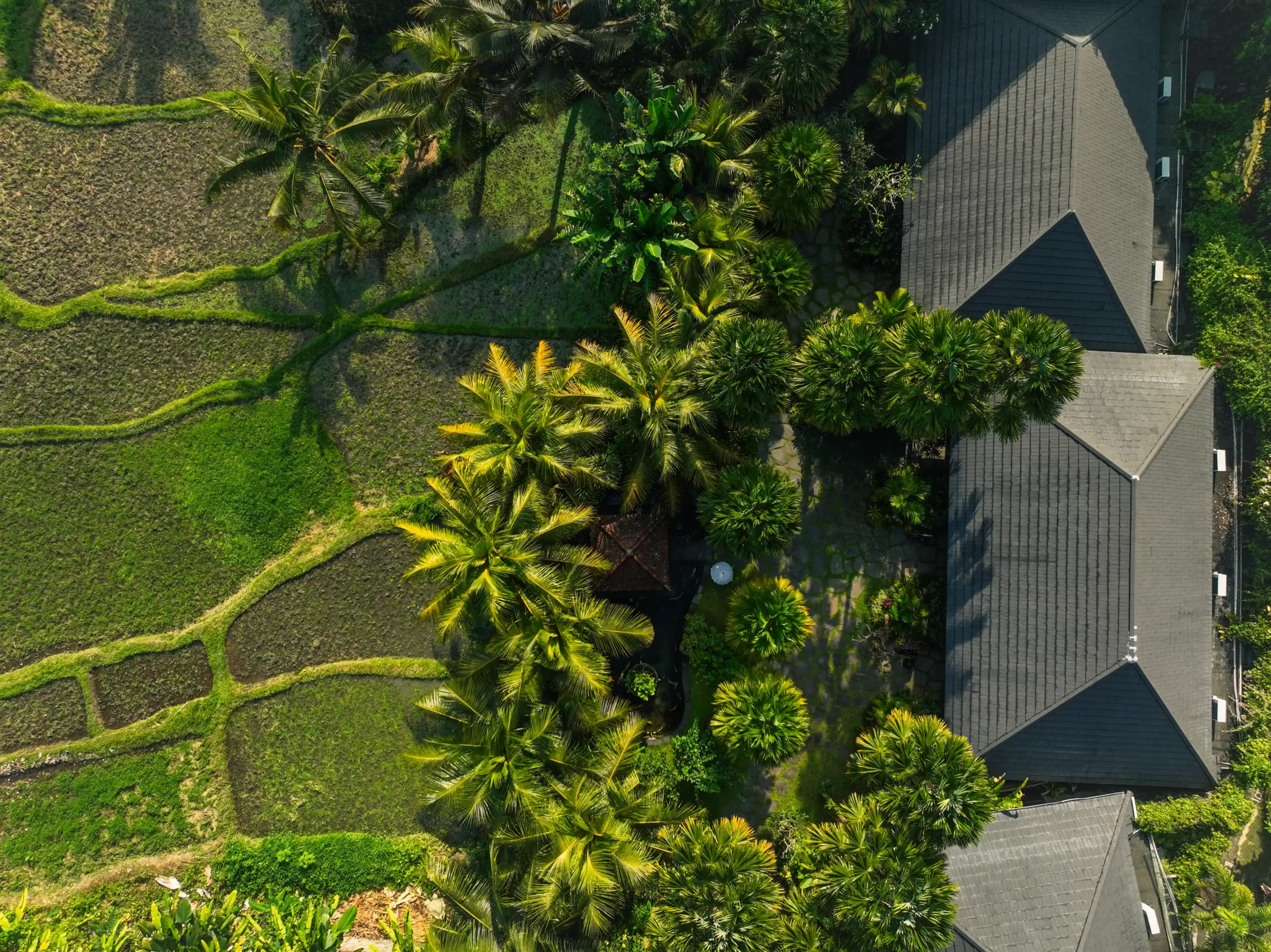 Nyepi in Bali - Adiwana Unagi Suite